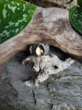 Bague citrine taille 56
