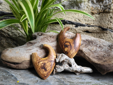 Boucles d'oreilles olivier