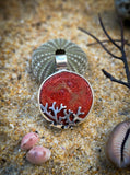 Pendentif double face corail rouge/ cauris