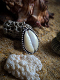 Pendentif cauris