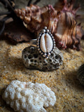 Bague cauris taille 54