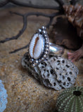 Bague cauris taille 54