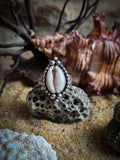 Bague cauris taille 54