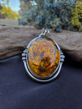 Pendentif ambre / tigre