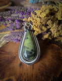 Pendentif serpentine stichtite/ fougère