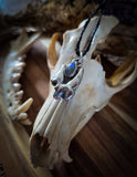 Pendentif molaire de renard / labradorite