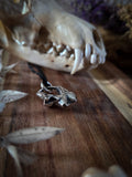 Pendentif molaire de renard