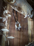 Pendentif molaire de renard