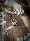 Pendentif molaire de renard