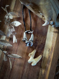 Pendentif molaire de renard