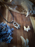 Pendentif petite molaire de renard