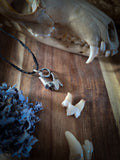 Pendentif petite molaire de renard