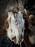 Pendentif dent de chevreuil