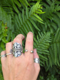 Bague fer a cheval revisitè