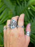 Bague fer a cheval revisitè