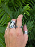 Bague fer a cheval revisitè